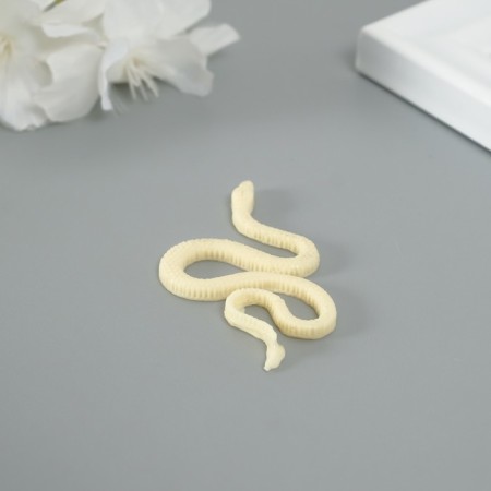 Mold Silicon "Snake crawls" 0.3x5.6x3.1 cm-5