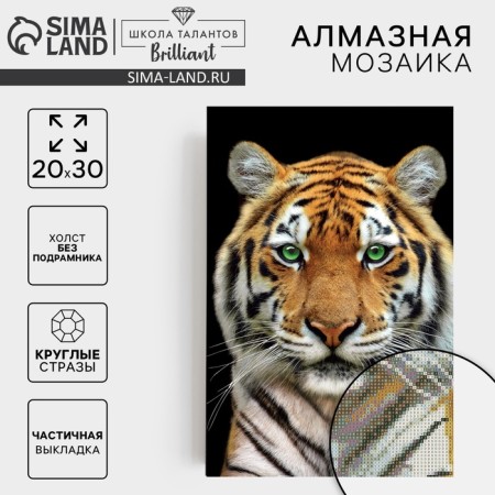 Diamond mosaic with partial filling "Tiger" 20 × 30 cm, on canvas