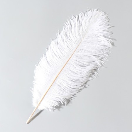 Feather of ostrich 30-35 cm, white-1