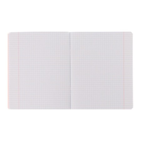 Notebook of 48 sheets in the Harry Potter cage, covered cardboard, OFSET block 65, 5 species mix-2