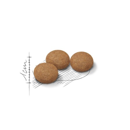 Dry food RC Sterilized +12 for sterilized cats, 2 kg-2