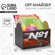 Organizer for storage, box 