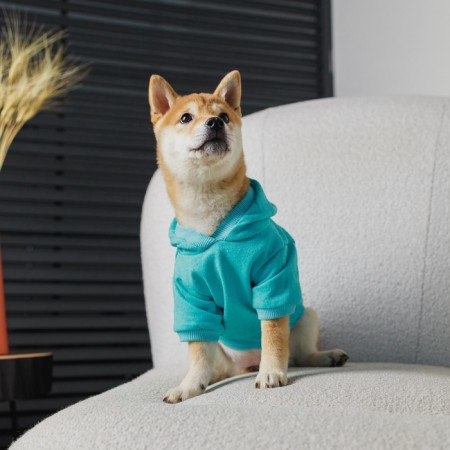 CHAMPION Holstery for dogs (footer), size M (DS 26, Osh 36-38, OG 46-50), Blue-5