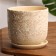 Flower lava beige 1.6 l