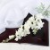 Artificial flowers "Clematis" 6x80 cm, white