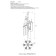 Crystal Lux ceiling lamp, Primavera 2750/106, G9, 6x60 W, 55x24x30 cm, gold color