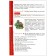 Textbook. GEF. German, Red, 2020. Grade 9, 5 year of study. Radchenko O.A.