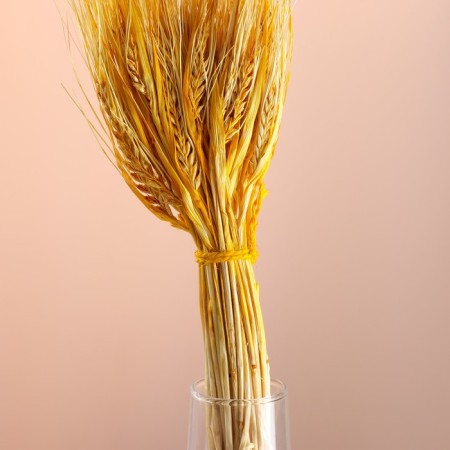 Set of dried flowers "rye", banch 35-40 pcs, length 55-65 (+/- 6 cm), yellow-1