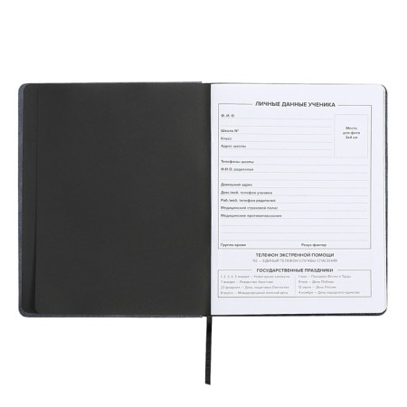 School diary for grades 1-11, 99/1 %, firm covered with foam, artificial leather, silkography, liesse, universal cheat sheet, 48 sheets, block 80g/m2-4