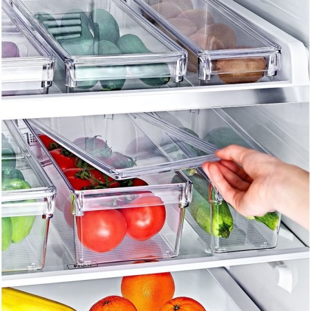 Organizer for the EMHOUSE refrigerator, flat, with a lid, size mini-2