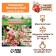 Gladiolus is stunted "mixture of varieties", rr 10+, 7 pcs,