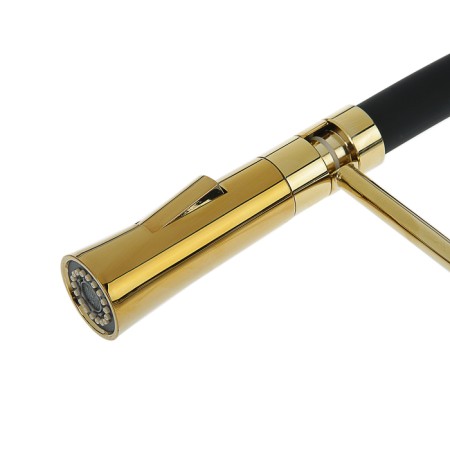 Accoona A4890WF-1 kitchen mixer, single-leaf, brass, black/gold-2