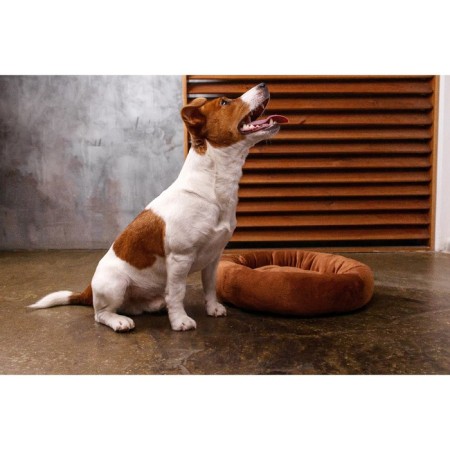 A bed with a bone, 45x35x11 cm, brown-8