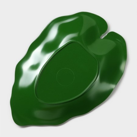 Serve dish "Liszt", 25 × 17 × 2 cm, green color-5