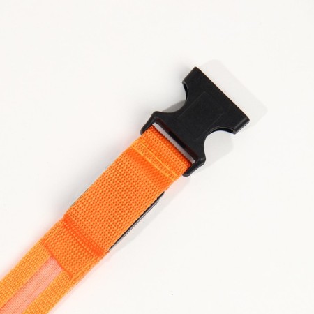 Collar with backlight size XL, Osh 52-60 x 2.5 cm, 3 glow modes Orange-9