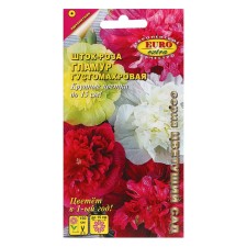 Flowers of flowers pcs.