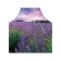 Apron kitchen with a “lavender in color” photo print, adjustable, size OS