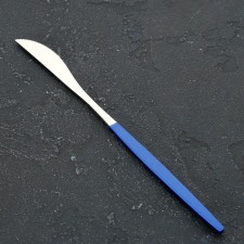 Stainless steel knife Magistro 