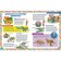 A big book for little curiosity. Illustrated encyclopedia
