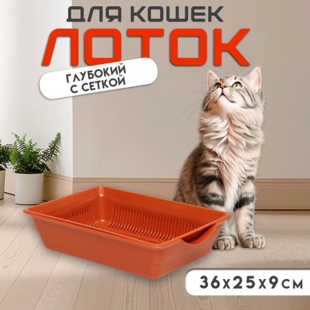 Deep toilet with a mesh of 36 x 25 x 9 cm, brown