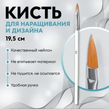 A brush for building and design of nails, a petal, 19.5 cm, D - 5 × 18 mm, in a plastic case, white color