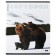 A notebook of 96 sheets in a cage, Erichkrause "Bears", glossy lamination, whiteness 100%, mix