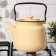 Enamged kettle, 3.5 l, without decolleys, beige color