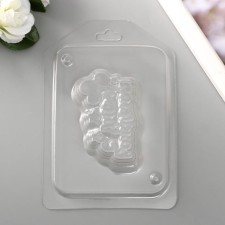 Plastic form 