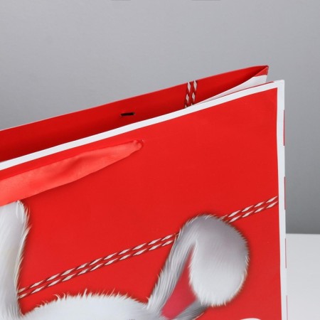 Gift package laminated, packaging, “package”, XL 49 x 40 x 19 cm-3