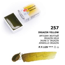 A watercolor art in a cuvette 2.5 ml, ZHK 