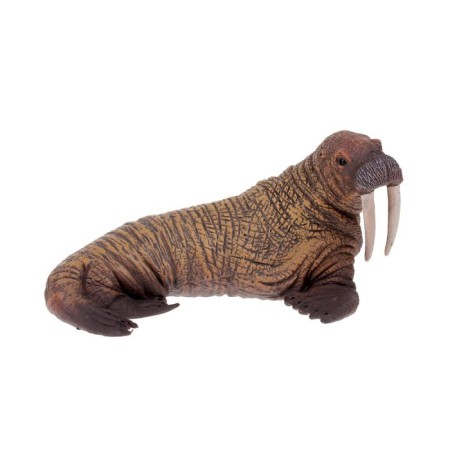 Figure "Morge"