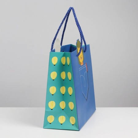 Gift package, packaging, “lion in a pocket”, 23 x 9 x 19 cm-1