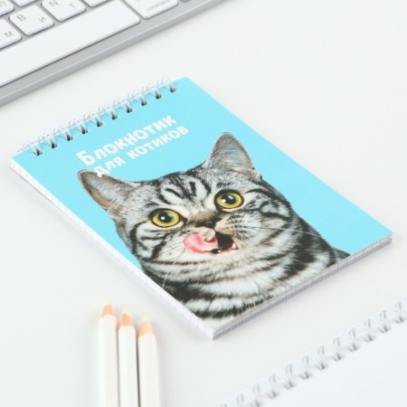 Notepad A6, 40 liters on the crest, soft cover "Kotik"-3