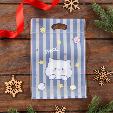 Zip-Lock package, "Korean style", 15.5*22+3.5cm mix-8