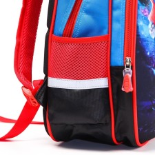 School backpack, 39 cm x 30 cm x 14 cm 