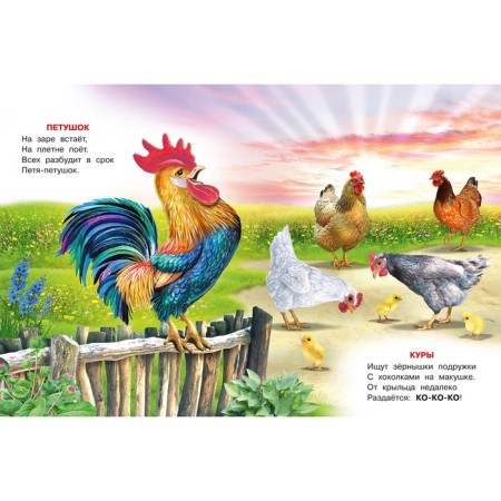 The cockerel will wake everyone up. Stepanov V.-2