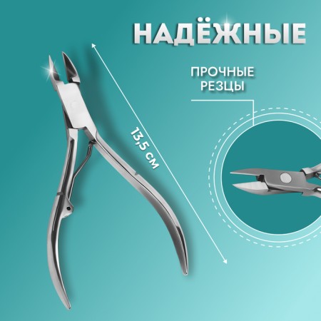 Pigitan nippers, straight blade, 13.5 cm, blade length - 15 mm, silver color-1