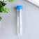 Fasting needles, set 9 pcs: 7.9 cm, 8.6 cm, 9 cm