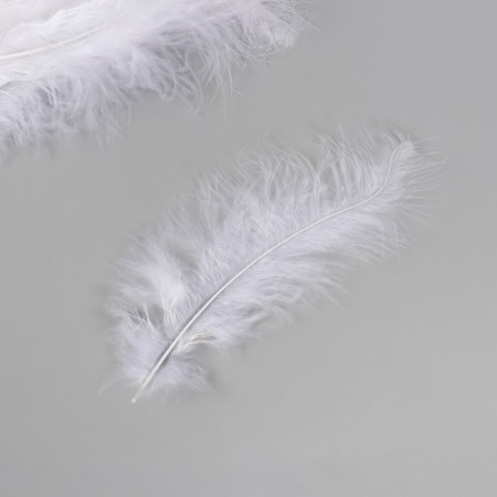 Decorative goose downward jacket "white" set 40 pcs h = 10-15 cm-2