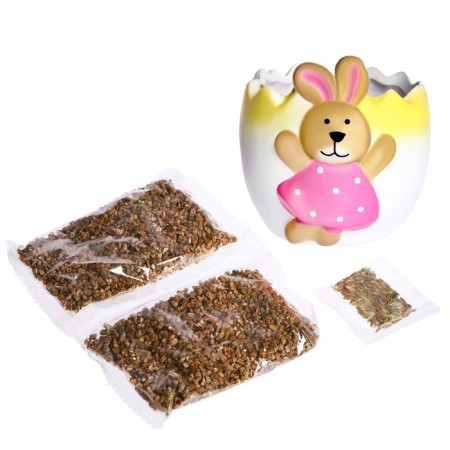 Set for experiments “grow grass”, bunny-2