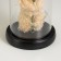 Nightlight "Bear with Flower" LED from batteries 3xlr44 11x11x21 cm