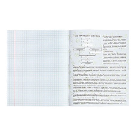 Subject notebook Calligrata Top "School style", 48 sheets in a cell biology, with reference material, plastic cover, offset unit-4