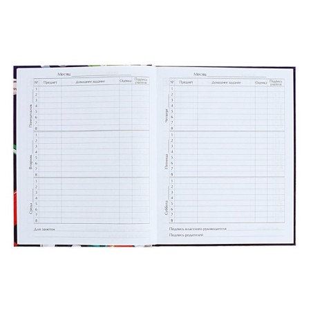 Diary for grades 1-4 "back to school. Collage", solid cover, glossy lamination, 48 sheets-6