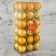 Set of balls plastic D-4 cm, 36 pcs "plain" gold