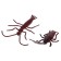 Set of insects "bugs", 16 figures