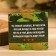 Set 3 essential oils 10 ml "Happy Defender of the Fatherland Day!" fir, cedar, pine