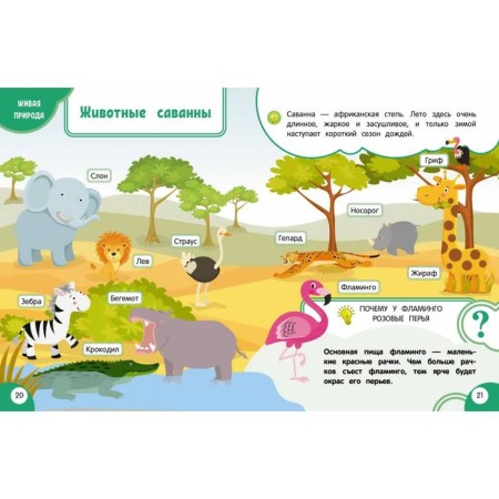 My first discoveries book: for children from 3 years old. Malanki T.G.-6