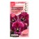 Flower seeds Violet Horned "Sorbet XP Ropberry F1", 5 pcs