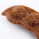 A toy for dogs "peas", tpr+bamboo, massage, 14 x 3.5 x 5 cm