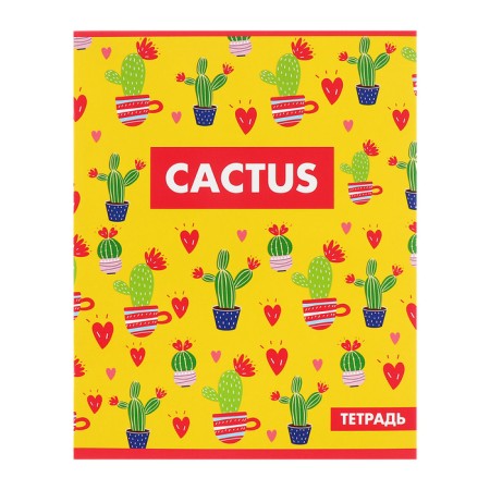 A set of notebooks of 5 pieces, 48 ​​sheets in the Calligrata cactus cage, covered cardboard, offset block-7